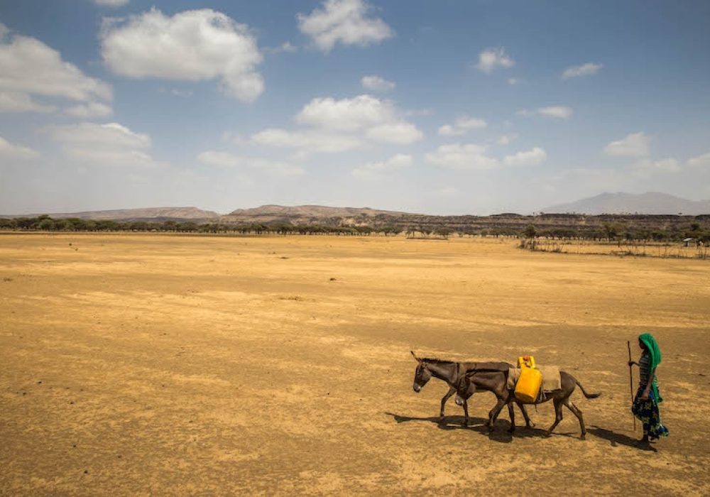 Ethiopia, during a drought in 2016. CREDIT: <a href="https://www.flickr.com/photos/unicefethiopia/24714637829">UNICEF Ethiopia</a> <a href="https://creativecommons.org/licenses/by-nc-nd/2.0/">(CC)</a>