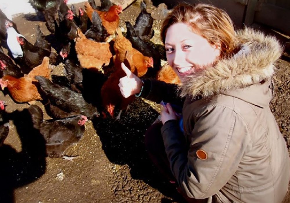 Kathryn Redford, co-founder of Ofbug, feeding chickens with worms.