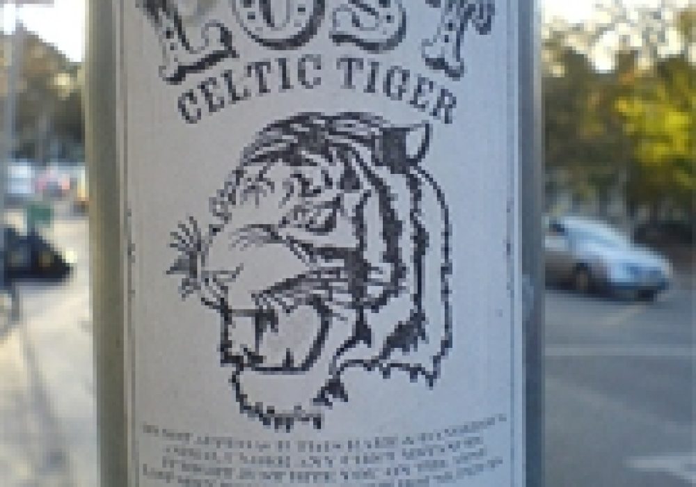 Lost Celtic Tiger. Photo by <a href="http://flickr.com/photos/jaqian/308499768/">jaqian</a> (<a href="http://creativecommons.org/licenses/by/2.0/deed.en">CC</a>).