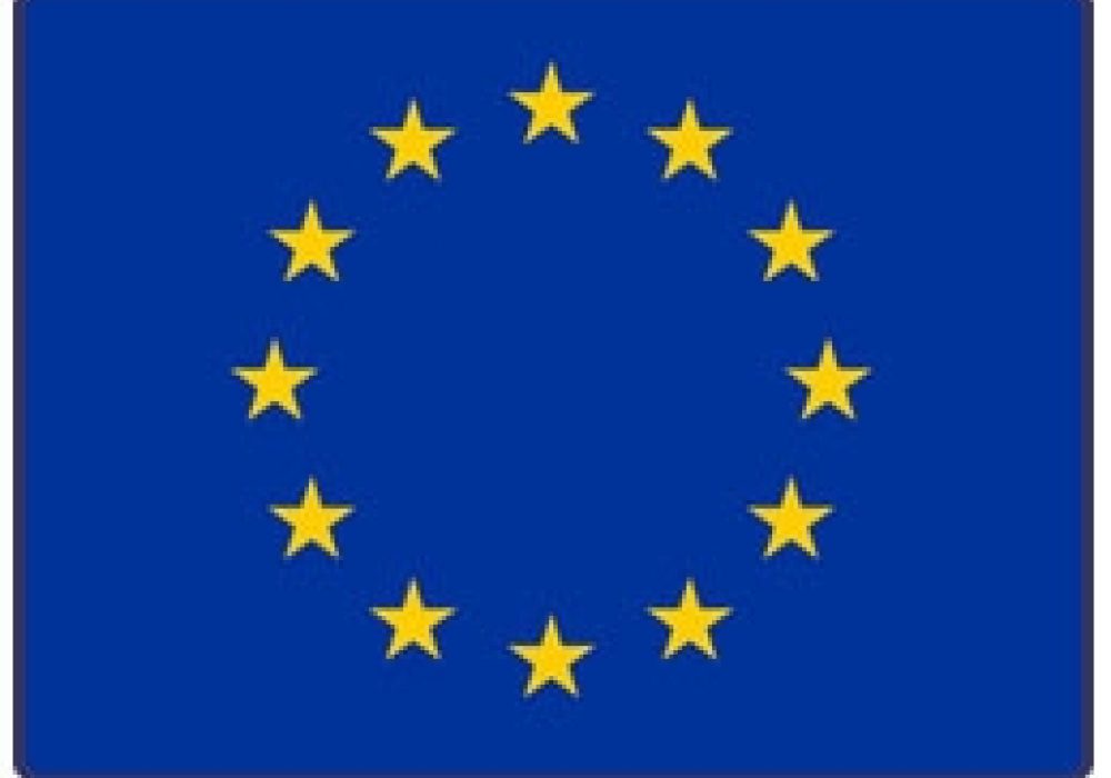 European Union Flag