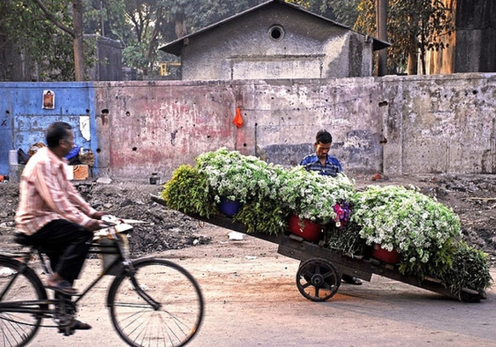 CREDIT: <a href="http://www.flickr.com/photos/lecercle/436319551/">Akshay Mahajan</a> (<a href="http://creativecommons.org/licenses/by-nc-sa/2.0/deed.en">CC</a>).
