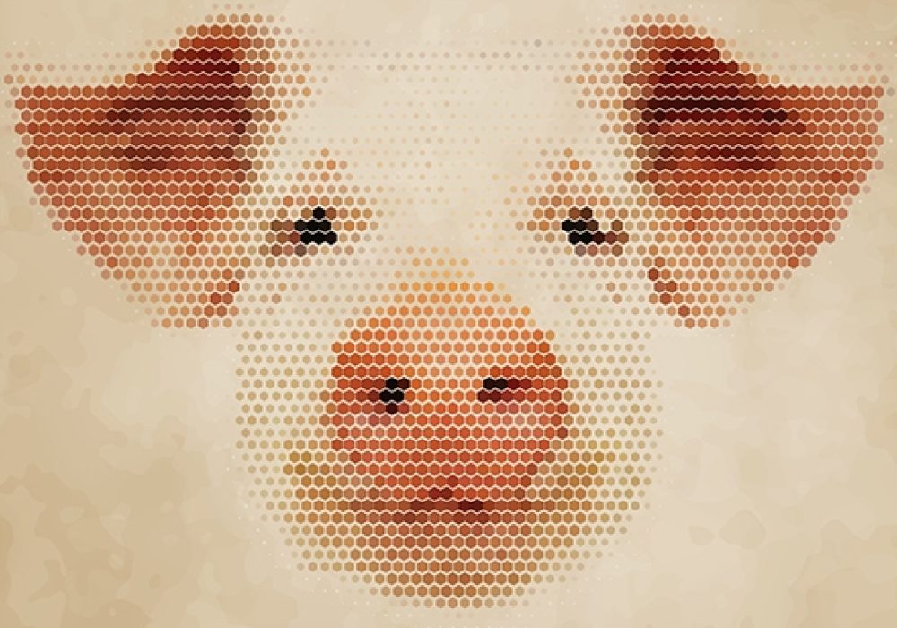 CREDIT: <a href="http://www.shutterstock.com/pic-256155163/stock-photo-illustration-of-pig-head-abstract-isolated-on-a-white-background.html?src=pp-same_artist-256155169-ayB7msNOwb6NTLdAMnyjbw-1&ws=1" target="_blank">Shutterstock </a>
