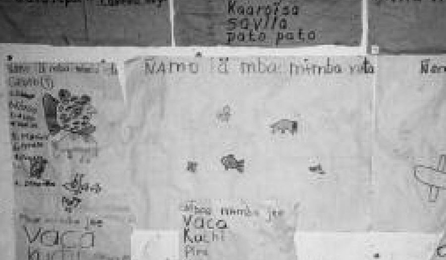 With limited resources, Guarani students paper a village school's adobe walls with writing in Guarani and Spanish.