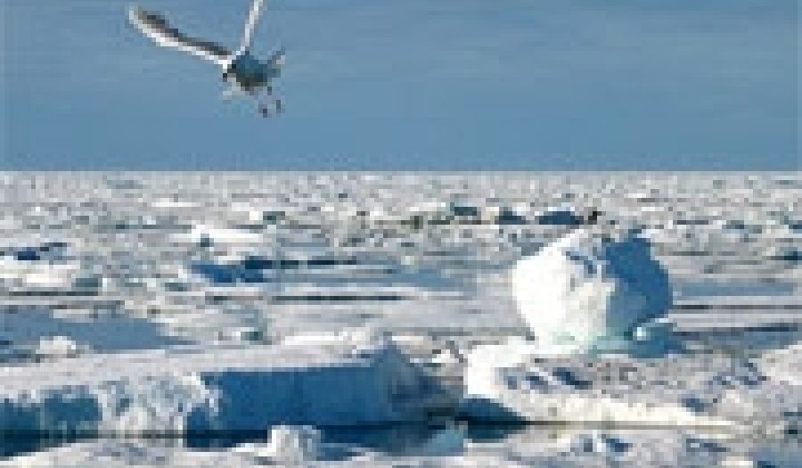 Arctic ice near the North Pole. Photo by <br><a href="http://flickr.com/photos/kenyai/54090518/">Tunde Pecsvari</a> (<a href="http://creativecommons.org/licenses/by-nc-nd/2.0/deed.en-us">CC</a>).