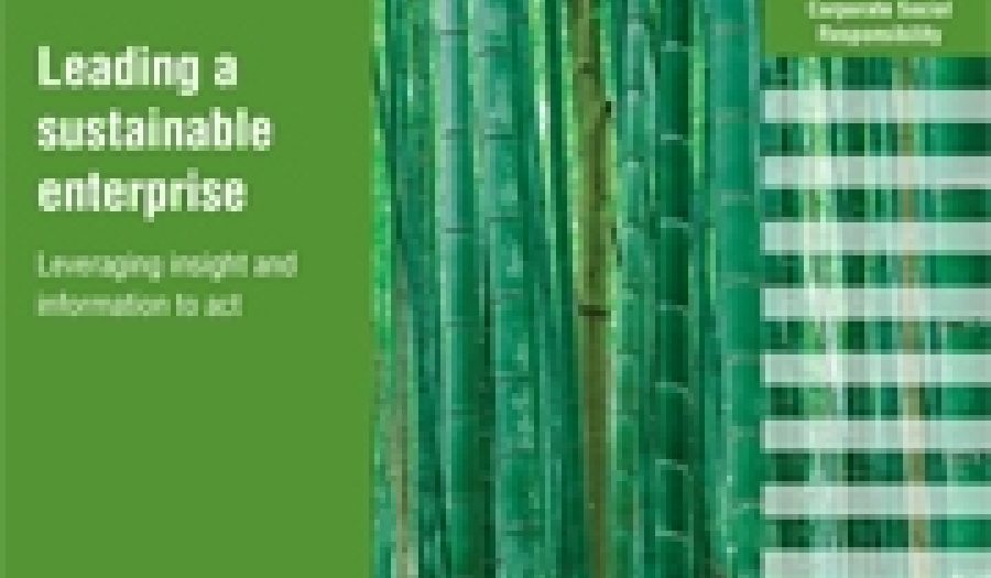Cover image, IBM CSR Survey