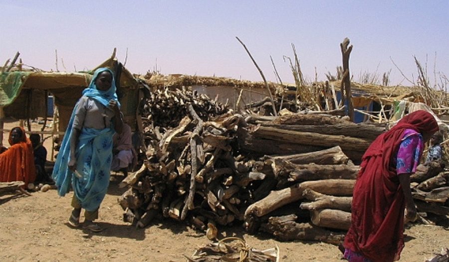 Firewood market in Darfur. CREDIT: <a href="http://flickr.com/photos/genocideintervention/2713877998/in/set-72157606434376928/">Genocide Intervention Network</a> (<a href="http://creativecommons.org/licenses/by-nc-sa/2.0/deed.en">CC</a>).