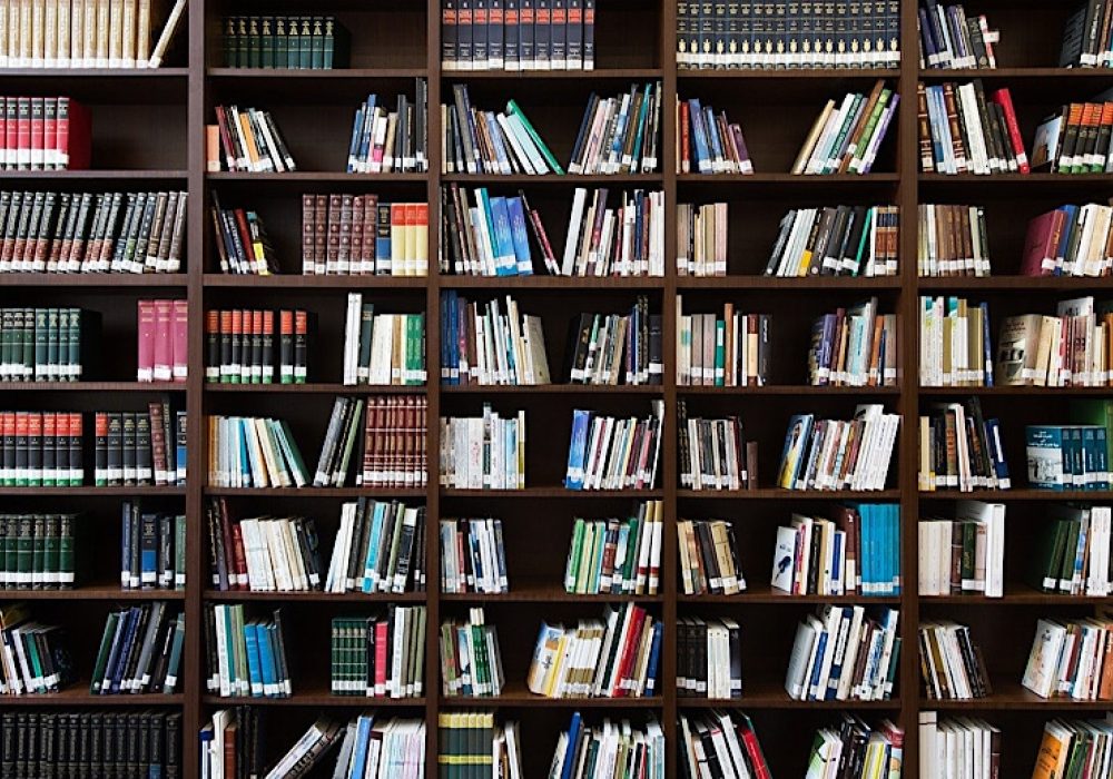 CREDIT: <a href= https://pixabay.com/photos/books-bookshelf-library-education-2463779/>AhmadArdity (CC)</a>.