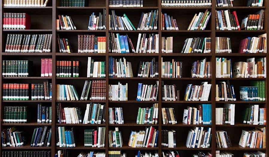 CREDIT: <a href= https://pixabay.com/photos/books-bookshelf-library-education-2463779/>AhmadArdity (CC)</a>.