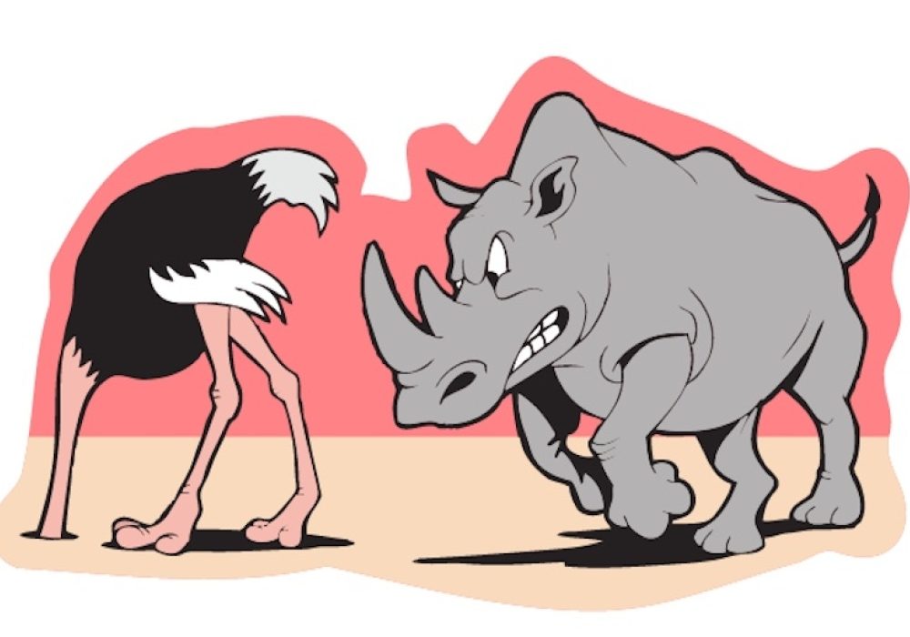 CREDIT: <a href="https://www.thegrayrhino.com/">Gray Rhino & Company</a>