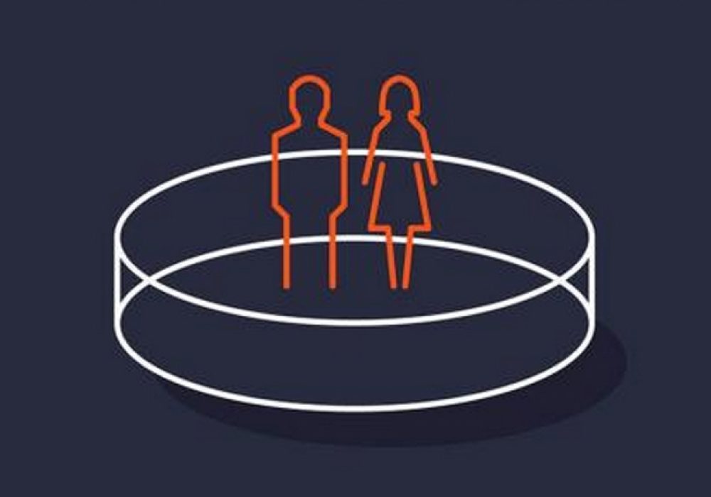 Detail from book cover