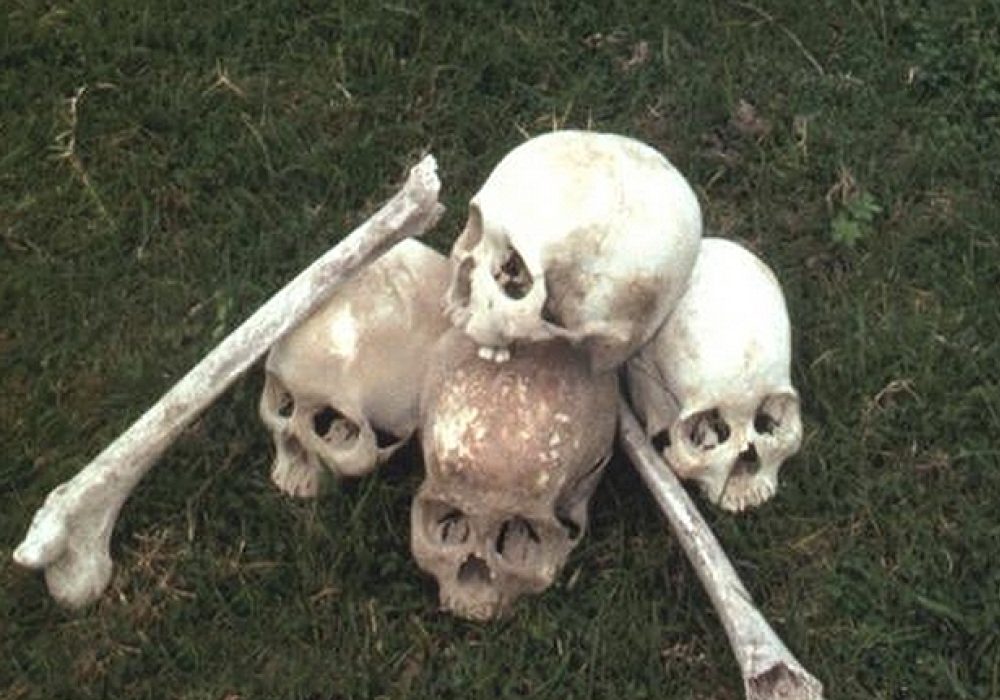 The New Killing Fields: Massacre and the Politics of Intervention