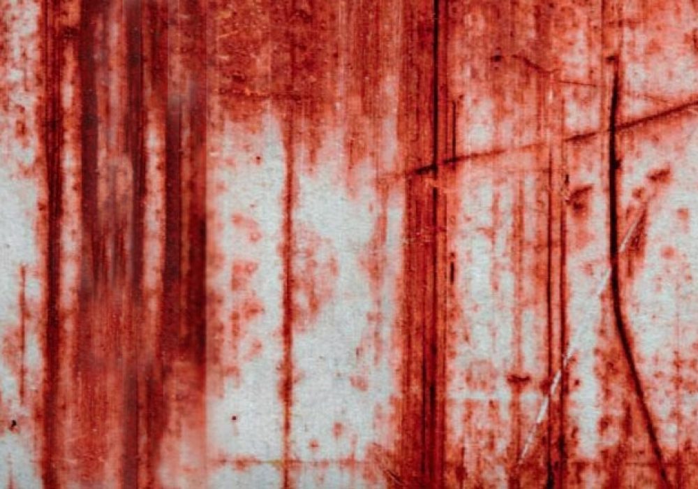 Detail from book cover