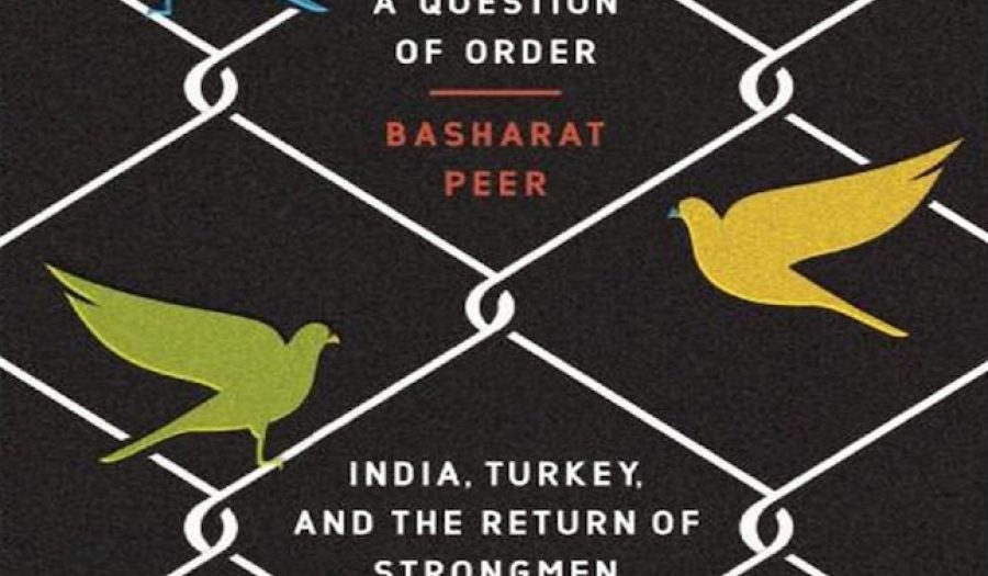 Detail from book cover