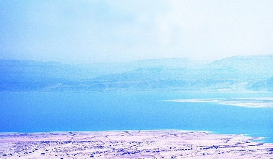 My Promised Land: The Triumph and Tragedy of Israel