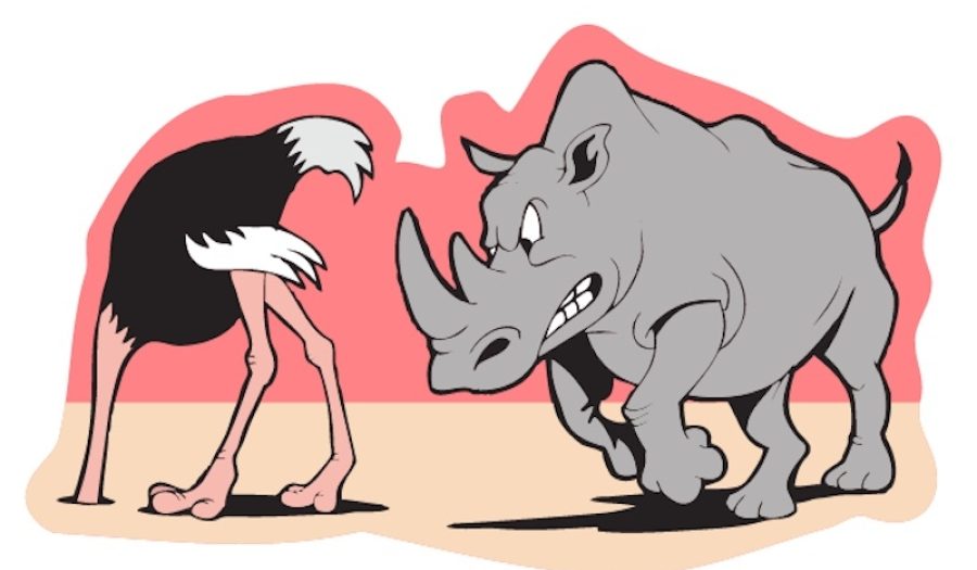 CREDIT: <a href="https://www.thegrayrhino.com/">Gray Rhino & Company</a>