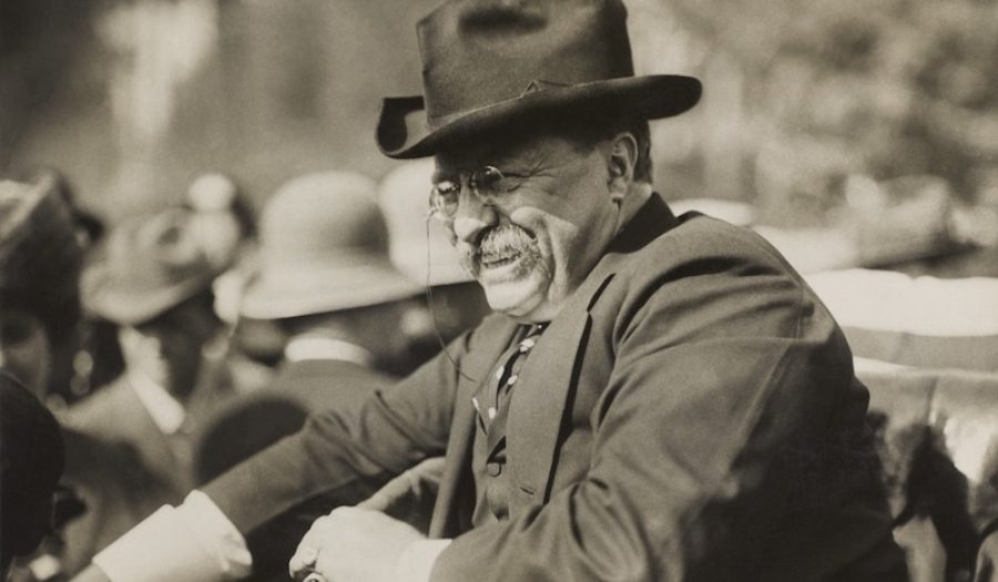 Teddy Roosevelt in 1910. CREDIT: <a href="https://commons.wikimedia.org/wiki/File:TR_smiling_in_automobile.tif">American Press Association / Public Domain</a>