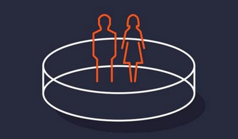 Detail from book cover