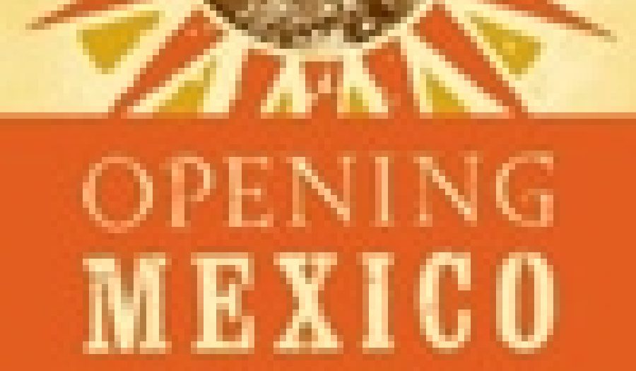Opening Mexico: The Making of a Democracy by Preston and Dillon